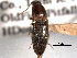  ( - CNC COLEO 00158482)  @11 [ ] CreativeCommons - Attribution (2012) CNC/CBG Photography Group Centre for Biodiversity Genomics