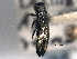  ( - CNC COLEO 00156890)  @12 [ ] CreativeCommons - Attribution (2012) CNC/CBG Photography Group Centre for Biodiversity Genomics