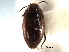  ( - CNC COLEO 00149879)  @11 [ ] CreativeCommons - Attribution (2012) CNC/CBG Photography Group Centre for Biodiversity Genomics