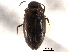  ( - CNC COLEO 00149882)  @11 [ ] CreativeCommons - Attribution (2012) CNC/CBG Photography Group Centre for Biodiversity Genomics