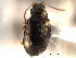  ( - CNC COLEO 00151743)  @11 [ ] CreativeCommons - Attribution (2012) CNC/CBG Photography Group Centre for Biodiversity Genomics