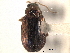  ( - CNC COLEO 00151747)  @11 [ ] CreativeCommons - Attribution (2012) CNC/CBG Photography Group Centre for Biodiversity Genomics