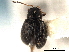  ( - CNC COLEO 00151804)  @11 [ ] CreativeCommons - Attribution (2012) CNC/CBG Photography Group Centre for Biodiversity Genomics