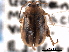  ( - CNC COLEO 00151908)  @11 [ ] CreativeCommons - Attribution (2012) CNC/CBG Photography Group Centre for Biodiversity Genomics
