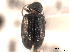  ( - CNC COLEO 00151944)  @11 [ ] CreativeCommons - Attribution (2012) CNC/CBG Photography Group Centre for Biodiversity Genomics