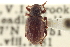  ( - CNC COLEO 00153424)  @11 [ ] CreativeCommons - Attribution (2012) CNC/CBG Photography Group Centre for Biodiversity Genomics