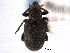  ( - CNC COLEO 00153429)  @11 [ ] CreativeCommons - Attribution (2012) CNC/CBG Photography Group Centre for Biodiversity Genomics