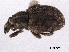  ( - CNC COLEO 00153433)  @11 [ ] CreativeCommons - Attribution (2012) CNC/CBG Photography Group Centre for Biodiversity Genomics