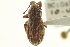  ( - CNC COLEO 00153659)  @11 [ ] CreativeCommons - Attribution (2012) CNC/CBG Photography Group Centre for Biodiversity Genomics