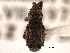  ( - CNC COLEO 00153873)  @11 [ ] CreativeCommons - Attribution (2012) CNC/CBG Photography Group Centre for Biodiversity Genomics