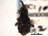  ( - CNC COLEO 00153876)  @12 [ ] CreativeCommons - Attribution (2012) CNC/CBG Photography Group Centre for Biodiversity Genomics