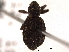  ( - CNC COLEO 00153884)  @13 [ ] CreativeCommons - Attribution (2012) CNC/CBG Photography Group Centre for Biodiversity Genomics