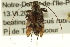  ( - CNC COLEO 00154805)  @13 [ ] CreativeCommons - Attribution (2012) CNC/CBG Photography Group Centre for Biodiversity Genomics