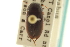  ( - CNC COLEO 00150086)  @11 [ ] CreativeCommons - Attribution (2012) CNC/CBG Photography Group Centre for Biodiversity Genomics
