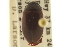  ( - CNC COLEO 00150164)  @11 [ ] CreativeCommons - Attribution (2012) CNC/CBG Photography Group Centre for Biodiversity Genomics