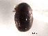  ( - CNC COLEO 00152351)  @11 [ ] CreativeCommons - Attribution (2012) CNC/CBG Photography Group Centre for Biodiversity Genomics