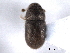  ( - CNC COLEO 00152926)  @11 [ ] CreativeCommons - Attribution (2012) CNC/CBG Photography Group Centre for Biodiversity Genomics