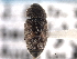  ( - CNC COLEO 00153091)  @11 [ ] CreativeCommons - Attribution (2012) CNC/CBG Photography Group Centre for Biodiversity Genomics