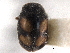  ( - CNC COLEO 00154101)  @11 [ ] CreativeCommons - Attribution (2012) CNC/CBG Photography Group Centre for Biodiversity Genomics
