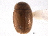  ( - CNC COLEO 00154430)  @11 [ ] CreativeCommons - Attribution (2012) CNC/CBG Photography Group Centre for Biodiversity Genomics