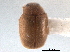  ( - CNC COLEO 00154432)  @11 [ ] CreativeCommons - Attribution (2012) CNC/CBG Photography Group Centre for Biodiversity Genomics