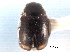  ( - CNC COLEO 00154467)  @11 [ ] CreativeCommons - Attribution (2012) CNC/CBG Photography Group Centre for Biodiversity Genomics