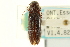  ( - CNC COLEO 00158809)  @11 [ ] CreativeCommons - Attribution (2012) CNC/CBG Photography Group Centre for Biodiversity Genomics