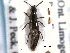 ( - CNC COLEO 00159626)  @11 [ ] CreativeCommons - Attribution (2012) CNC/CBG Photography Group Centre for Biodiversity Genomics