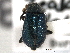  ( - CNC COLEO 00159653)  @12 [ ] CreativeCommons - Attribution (2012) CNC/CBG Photography Group Centre for Biodiversity Genomics