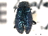  ( - CNC COLEO 00159654)  @12 [ ] CreativeCommons - Attribution (2012) CNC/CBG Photography Group Centre for Biodiversity Genomics