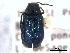  ( - CNC COLEO 00159656)  @11 [ ] CreativeCommons - Attribution (2012) CNC/CBG Photography Group Centre for Biodiversity Genomics