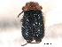  ( - CNC COLEO 00159663)  @11 [ ] CreativeCommons - Attribution (2012) CNC/CBG Photography Group Centre for Biodiversity Genomics