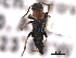  (Endeodes - CNC COLEO 00159681)  @14 [ ] CreativeCommons - Attribution (2012) CNC/CBG Photography Group Centre for Biodiversity Genomics