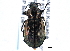  ( - CNC COLEO 00161220)  @13 [ ] CreativeCommons - Attribution (2013) CBG Photography Group Centre for Biodiversity Genomics