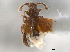  ( - CNC COLEO 00162707)  @11 [ ] CreativeCommons - Attribution (2013) CNC/CBG Photography Group Centre for Biodiversity Genomics