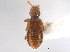  ( - CNC COLEO 00162744)  @11 [ ] CreativeCommons - Attribution (2013) CNC/CBG Photography Group Centre for Biodiversity Genomics