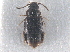  ( - CNC COLEO 00163018)  @11 [ ] CreativeCommons - Attribution (2013) CNC/CBG Photography Group Centre for Biodiversity Genomics