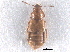  ( - CNC COLEO 00163022)  @11 [ ] CreativeCommons - Attribution (2013) CNC/CBG Photography Group Centre for Biodiversity Genomics