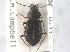  ( - CNC COLEO 00249959)  @11 [ ] CreativeCommons - Attribution (2013) CNC/CBG Photography Group Centre for Biodiversity Genomics