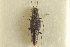  ( - CNC COLEO 00251049)  @11 [ ] CreativeCommons - Attribution (2014) CBG Photography Group Centre for Biodiversity Genomics