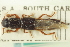  ( - CNC COLEO 00251086)  @13 [ ] CreativeCommons - Attribution (2014) CBG Photography Group Centre for Biodiversity Genomics
