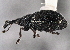  ( - CNC COLEO 00160255)  @14 [ ] CreativeCommons - Attribution (2013) CNC/CBG Photography Group Centre for Biodiversity Genomics