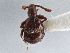  ( - CNC COLEO 00162882)  @11 [ ] CreativeCommons - Attribution (2013) CNC/CBG Photography Group Centre for Biodiversity Genomics