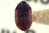  ( - CNC COLEO 00252012)  @11 [ ] CreativeCommons - Attribution (2014) CBG Photography Group Centre for Biodiversity Genomics