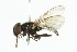  ( - CNC DIPTERA 101800)  @12 [ ] CreativeCommons - Attribution (2011) CNC/CBG Photography Group Centre for Biodiversity Genomics