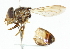  ( - CNC DIPTERA 101918)  @11 [ ] CreativeCommons - Attribution (2011) CNC/CBG Photography Group Centre for Biodiversity Genomics