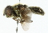  ( - CNC DIPTERA 102254)  @12 [ ] CreativeCommons - Attribution (2011) CNC/CBG Photography Group Centre for Biodiversity Genomics