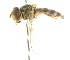  ( - CNC DIPTERA 105551)  @12 [ ] CreativeCommons - Attribution (2011) CNC/CBG Photography Group Centre for Biodiversity Genomics