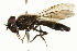  ( - CNC DIPTERA 2846)  @15 [ ] CreativeCommons - Attribution (2011) CNC/CBG Photography Group Centre for Biodiversity Genomics