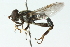  ( - CNC DIPTERA 48824)  @14 [ ] CreativeCommons - Attribution (2011) CNC/CBG Photography Group Centre for Biodiversity Genomics